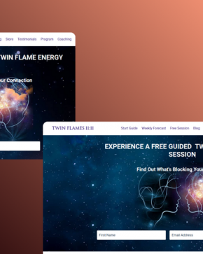 Twin Flames 11_11 – Custom LMS Platform